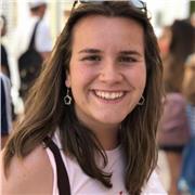Doy clases particulares sobre primaria, idiomas y música